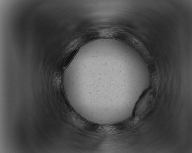 X0000052610329200507160044