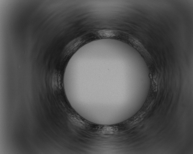 X0000052610330200507160044