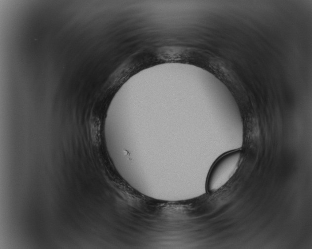 X0000052610332200507160044