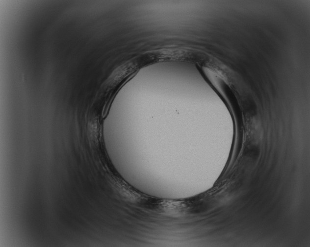 X0000052610333200507160044