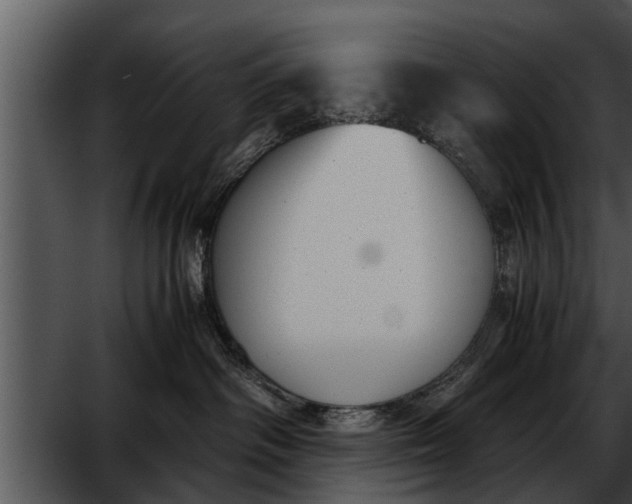 X0000052610334200507160044