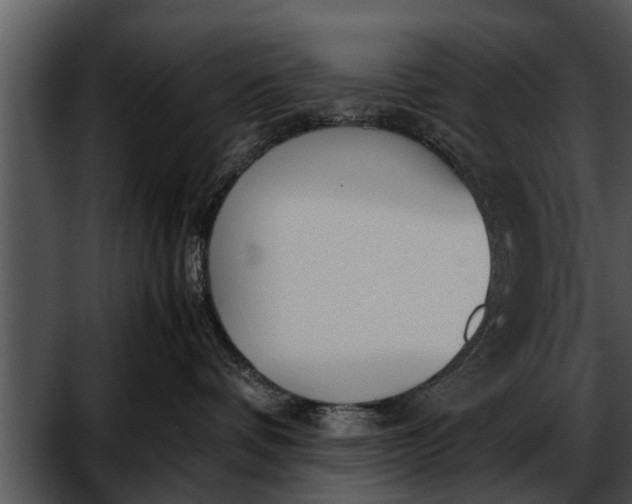 X0000052610336200507160044