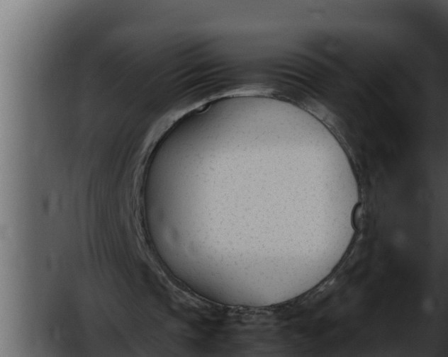 X0000052610337200507160043