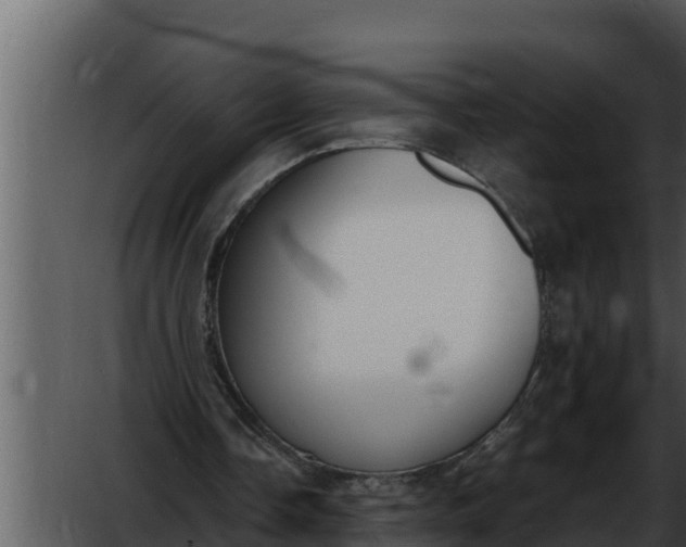 X0000052610338200507160043