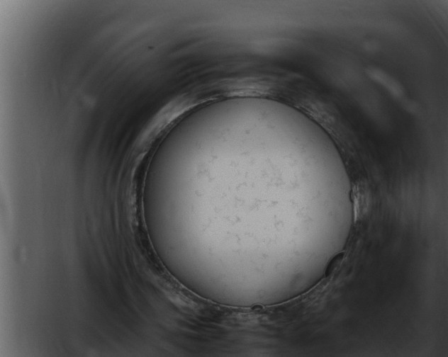 X0000052610339200507160043