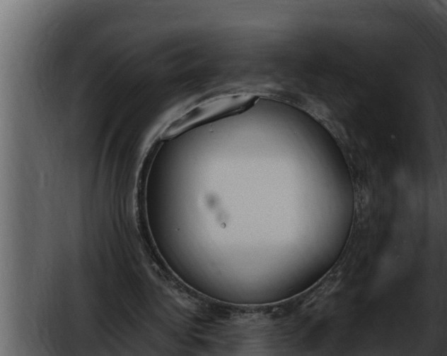 X0000052610340200507160043