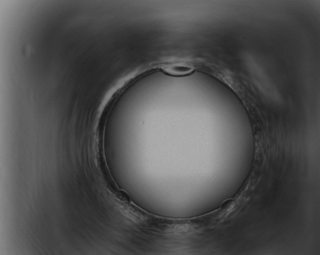 X0000052610342200507160043