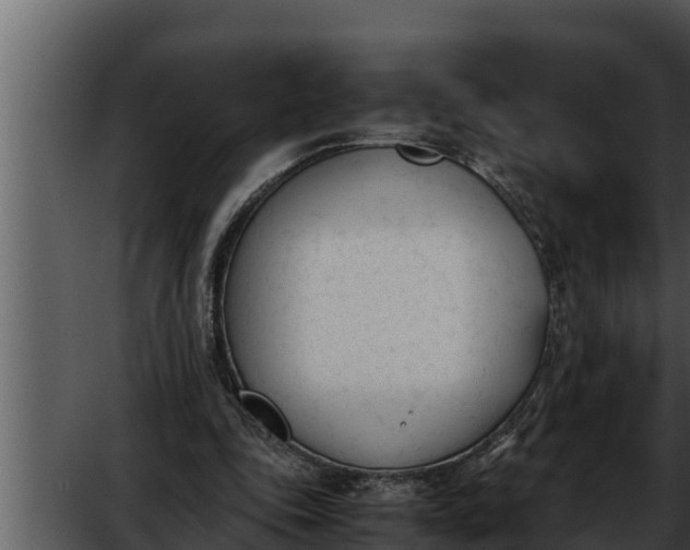 X0000052610343200507160043