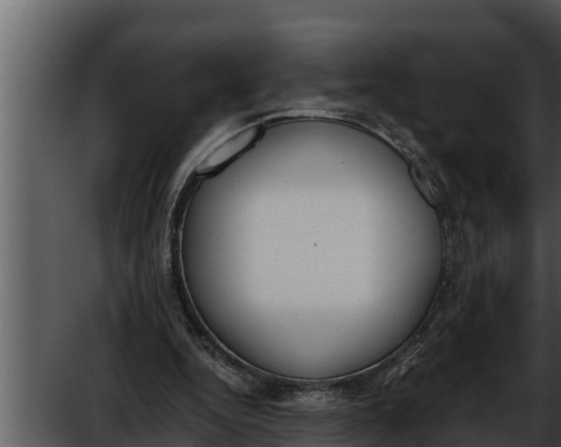 X0000052610344200507160043