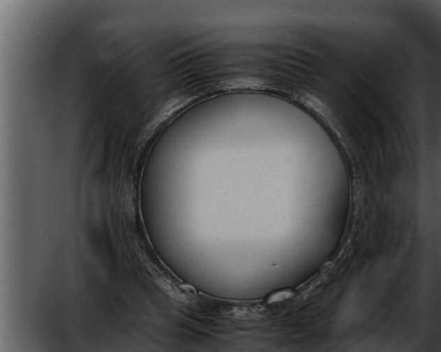 X0000052610345200507160043