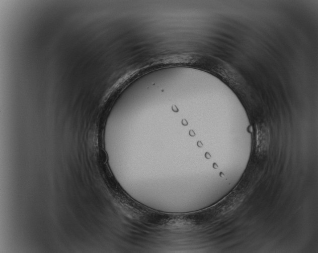 X0000052610348200507160043