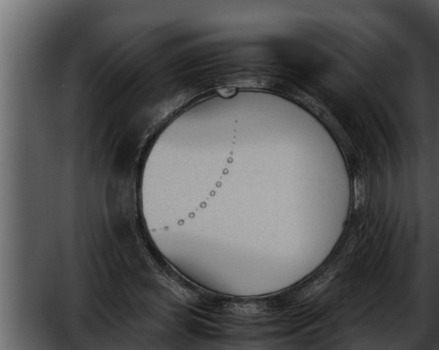 X0000052610349200507160043