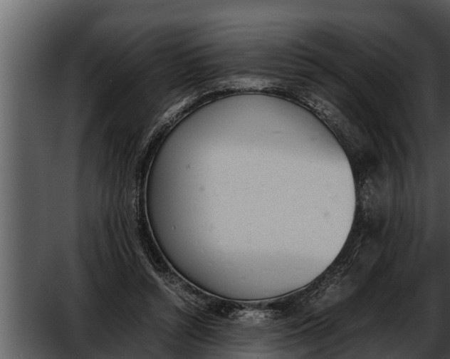 X0000052610352200507160043