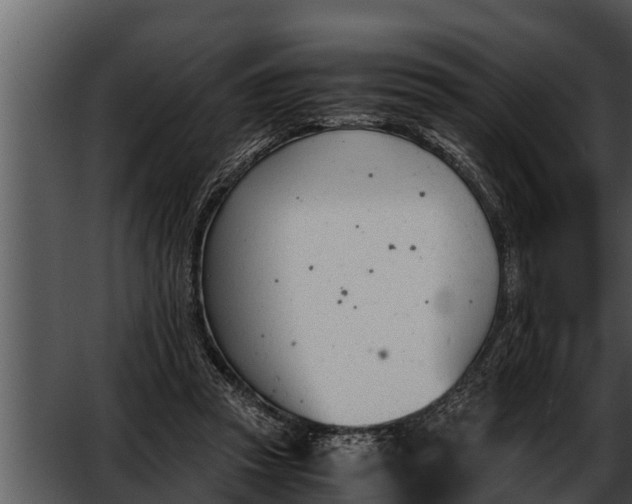 X0000052610353200507160043