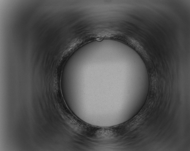 X0000052610354200507160043