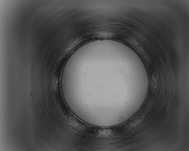 X0000052610355200507160043