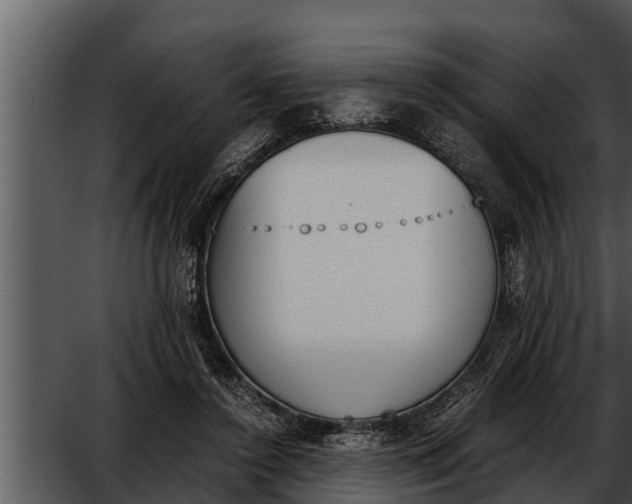 X0000052610356200507160043