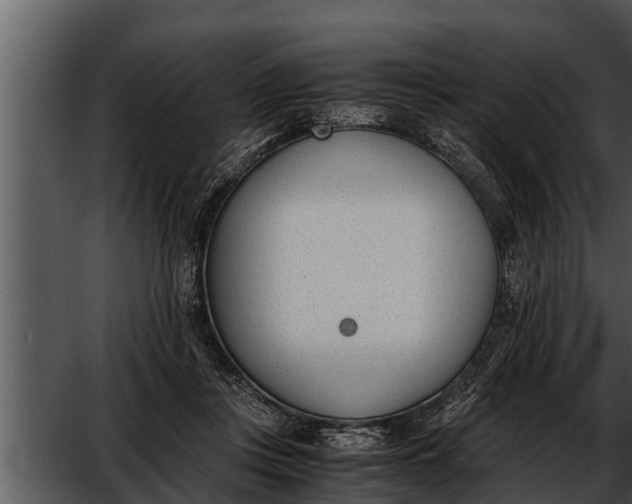 X0000052610359200507160043