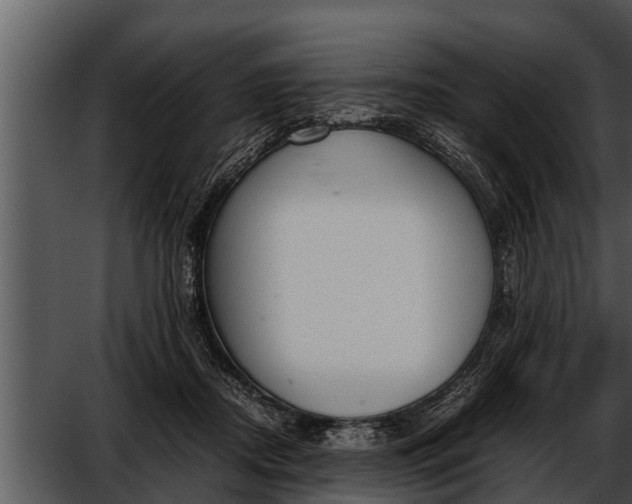 X0000052610362200507160043