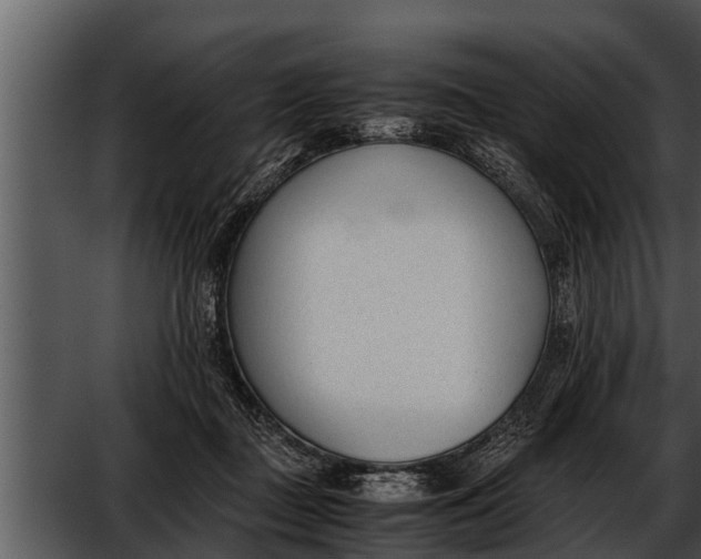 X0000052610363200507160043