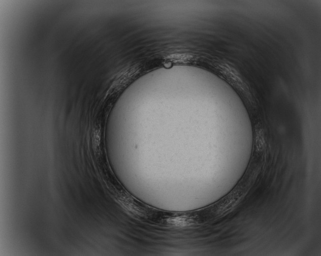 X0000052610365200507160043