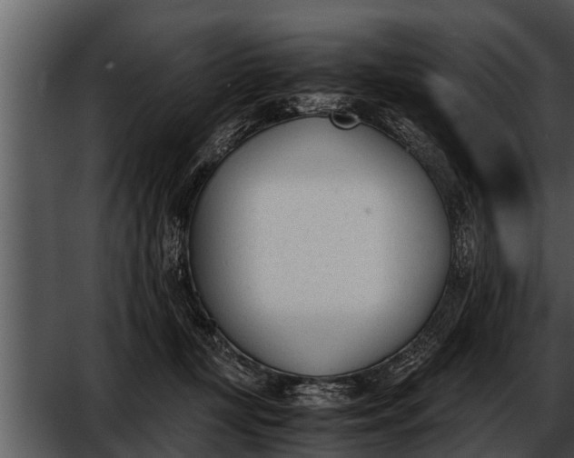 X0000052610367200507160043