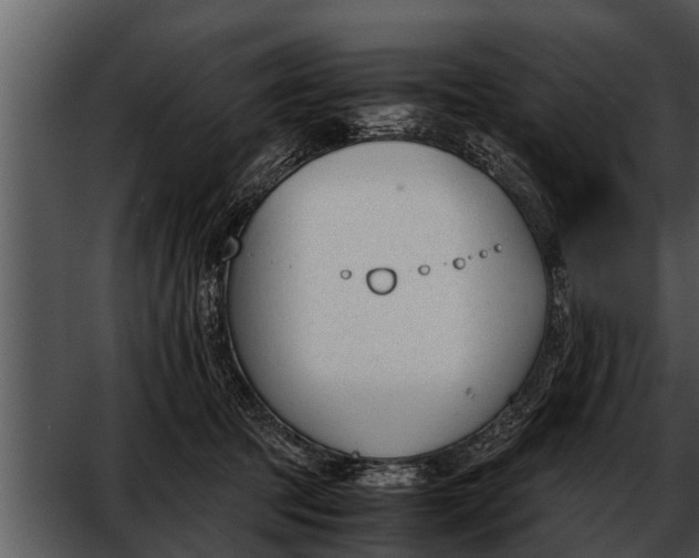 X0000052610369200507160043