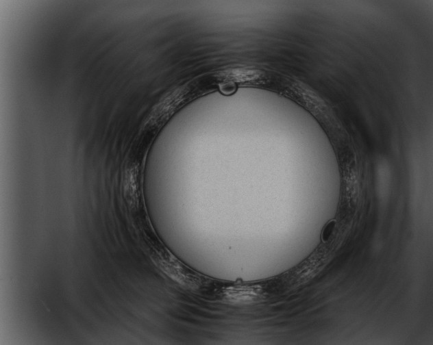 X0000052610373200507160043