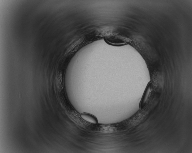 X0000052610376200507160044