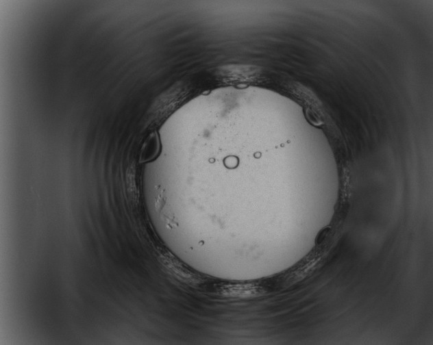 X0000052610377200507160044