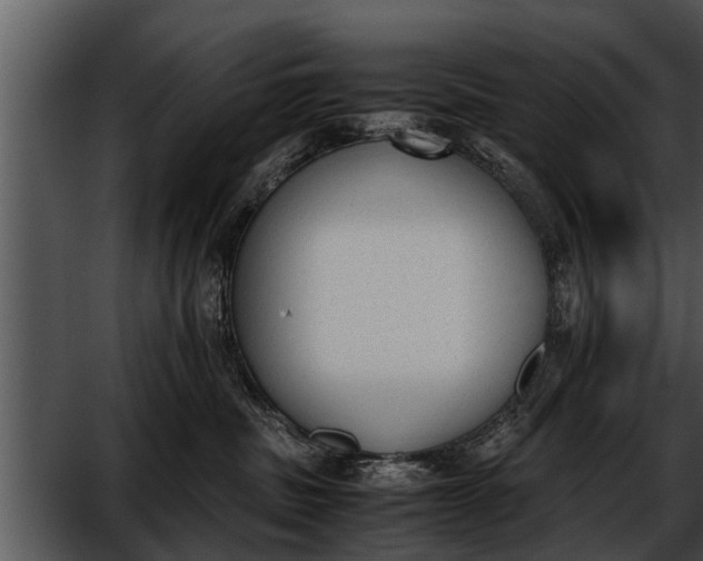 X0000052610379200507160044