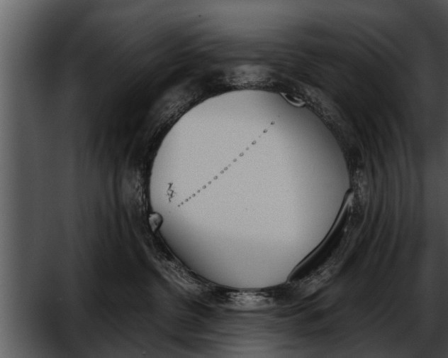 X0000052610380200507160044