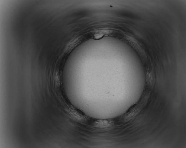 X0000052610381200507160044