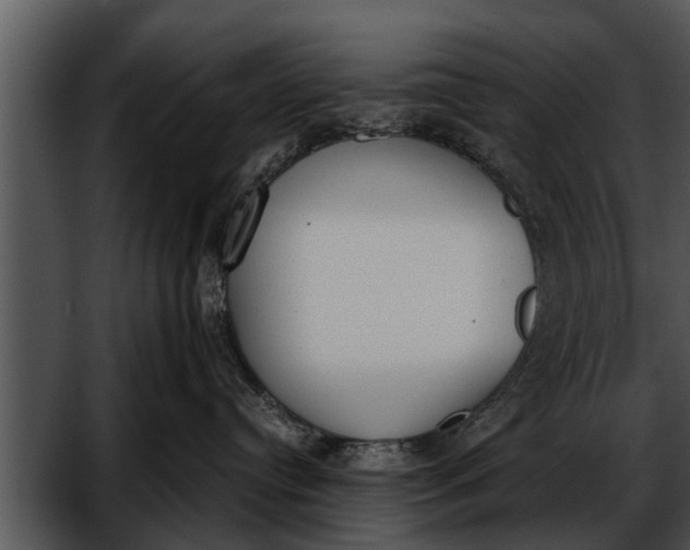 X0000052610384200507160044