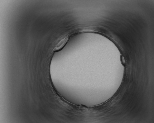 X0000052610385200507160043