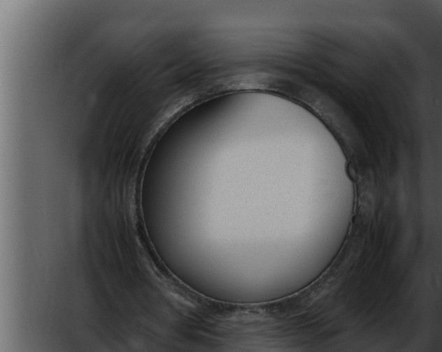 X0000052610386200507160043