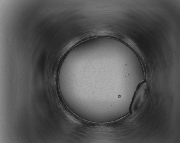 X0000052610389200507160043