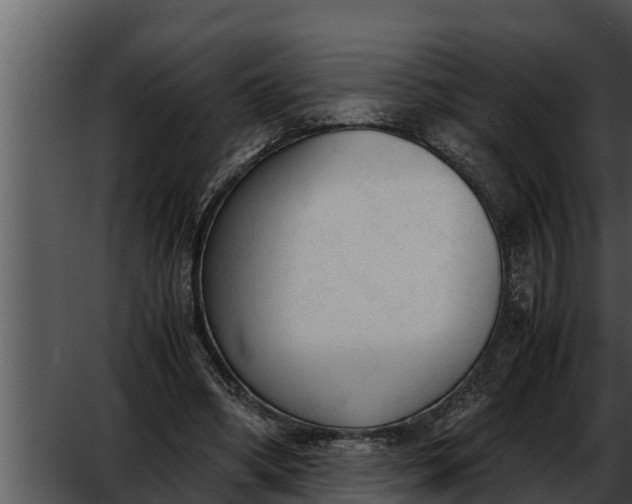 X0000052610394200507160043