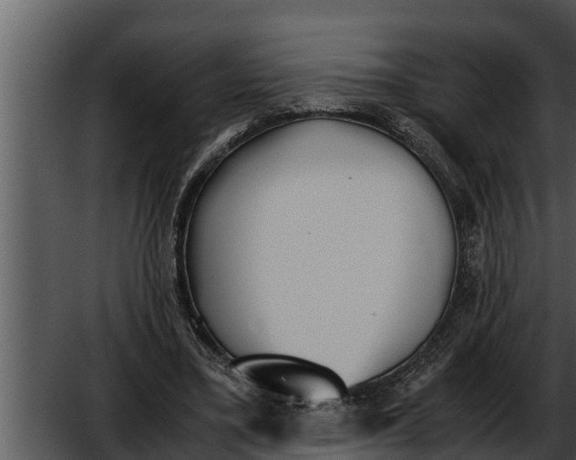 X0000052610395200507160043