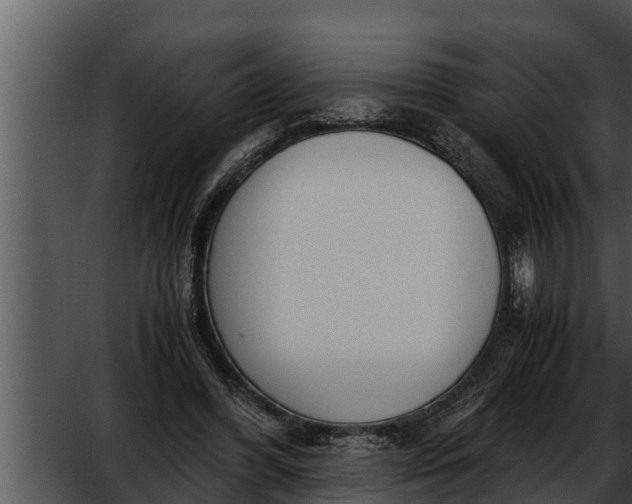 X0000052610396200507160043