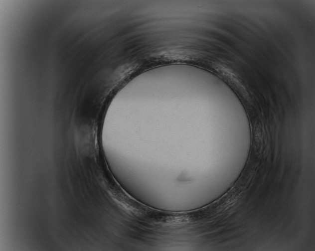 X0000052610398200507160043