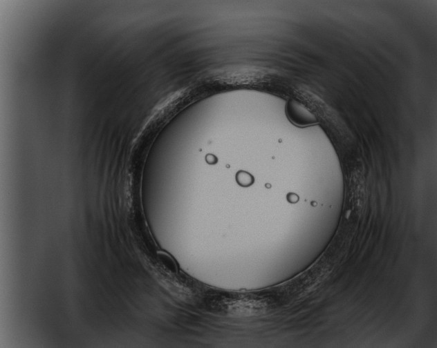 X0000052610400200507160043