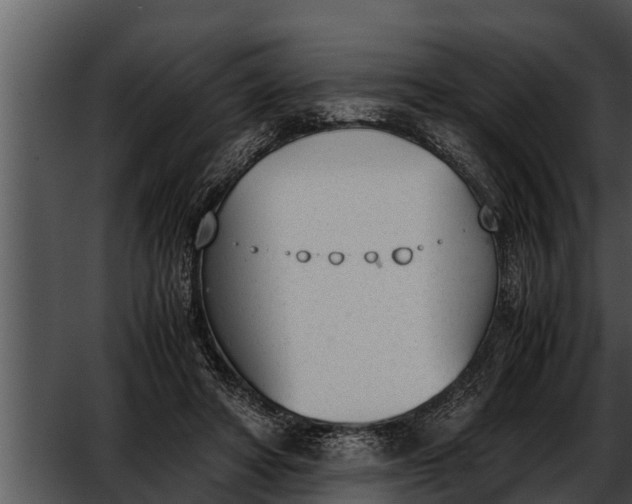 X0000052610402200507160043