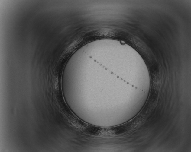 X0000052610403200507160043