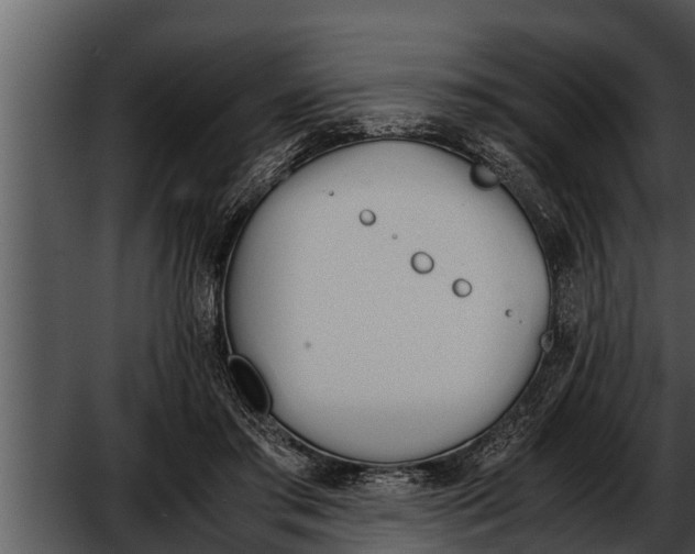 X0000052610405200507160043