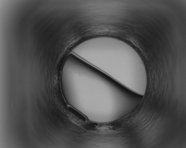 X0000052610407200507160042