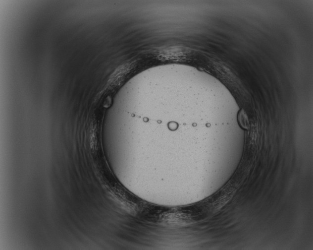 X0000052610408200507160042