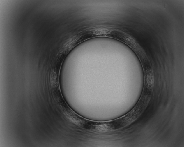 X0000052610411200507160042