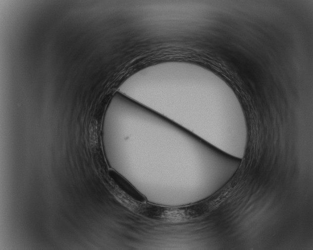 X0000052610413200507160042