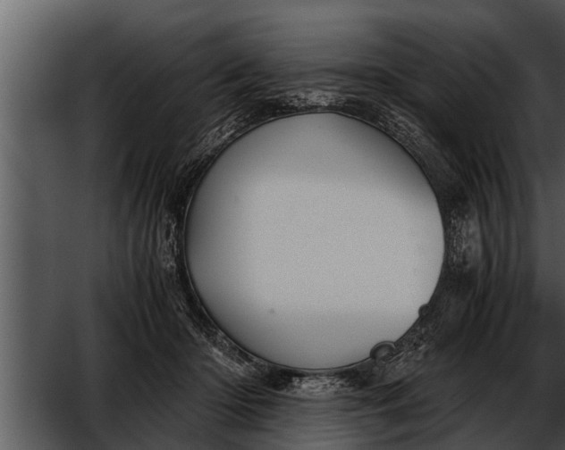 X0000052610414200507160042